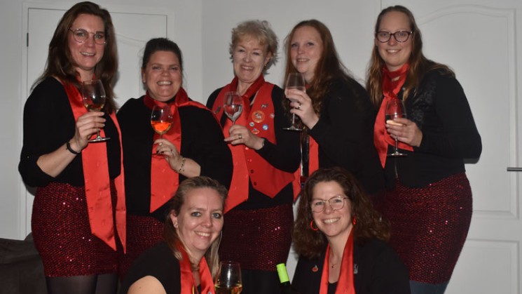 Dames van de Raad